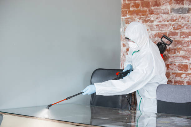 Best Residential Mold Inspection & Testing in USA